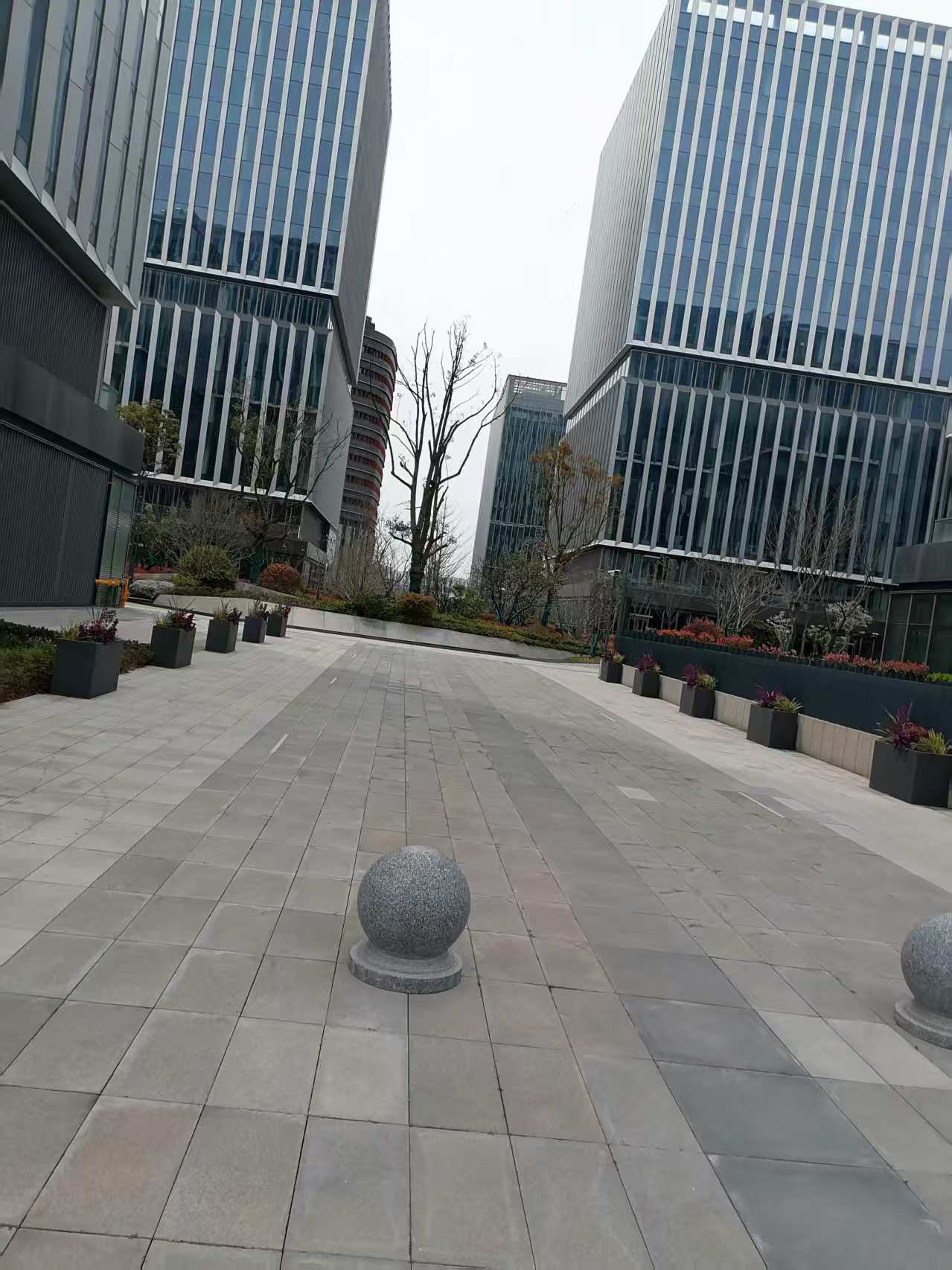 微信圖片_20250404083831.jpg